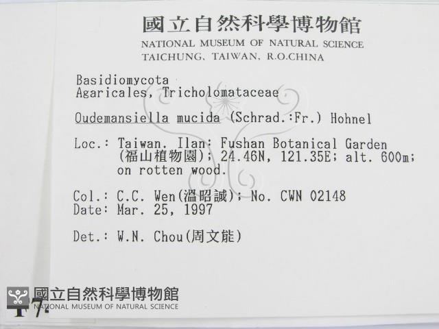 登錄號:F0007494藏品圖，第2張