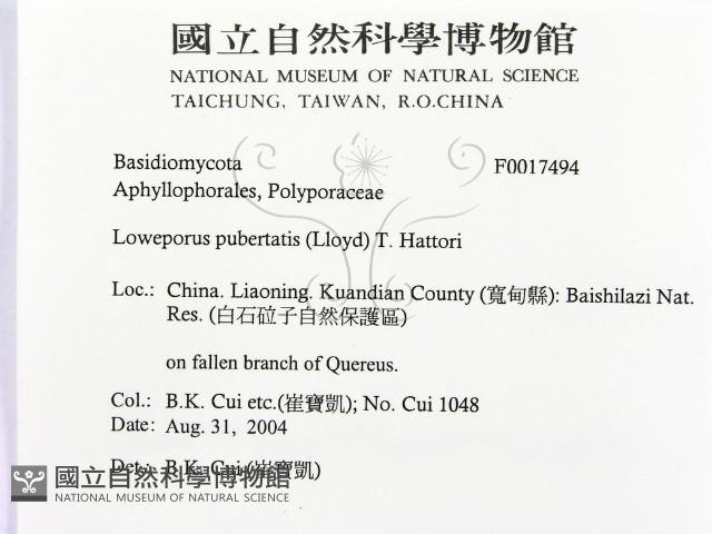 登錄號:F0017494藏品圖，第2張
