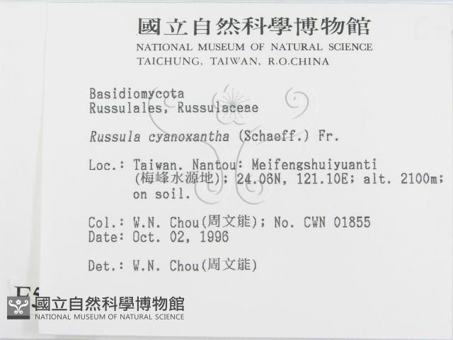 登錄號:F0005494藏品圖，第2張