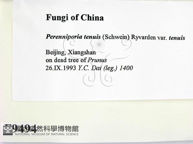 登錄號:F0009494藏品圖，第2張