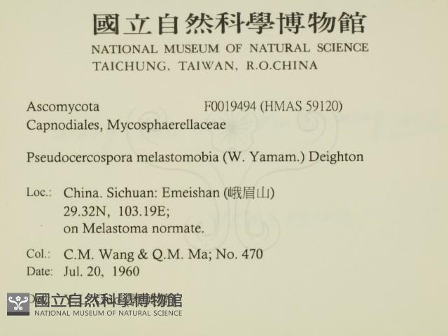 登錄號:F0019494藏品圖，第2張