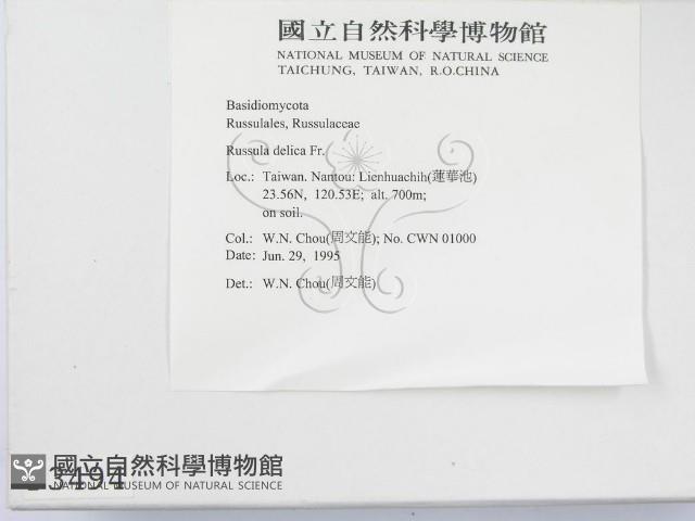 登錄號:F0003494藏品圖，第2張