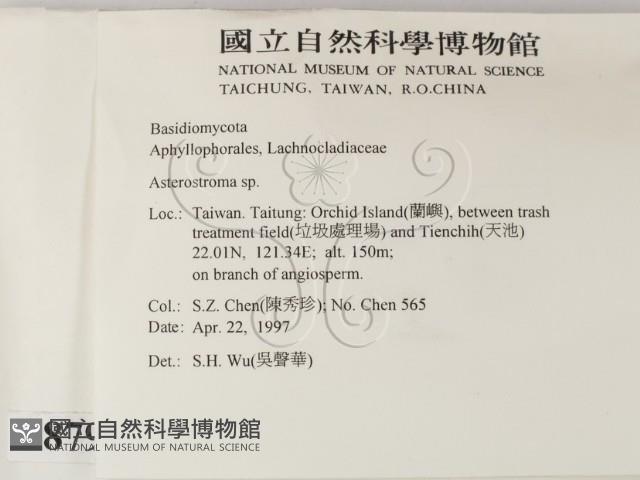 登錄號:F0008794藏品圖，第2張