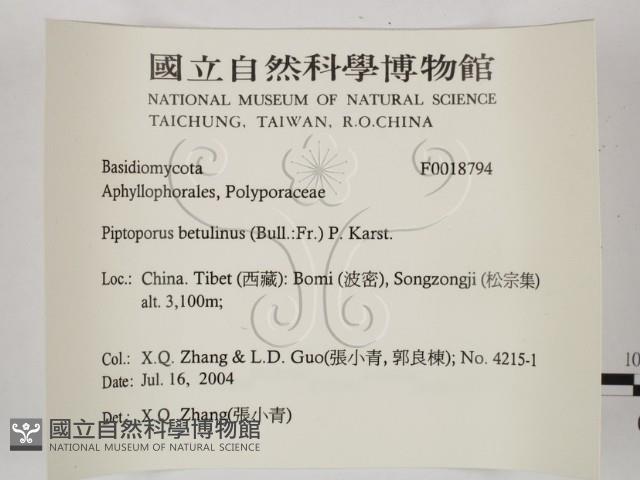 登錄號:F0018794藏品圖，第2張