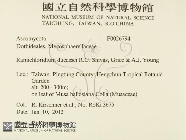 登錄號:F0026794藏品圖，第2張