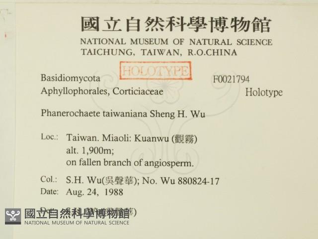 登錄號:F0021794藏品圖，第2張