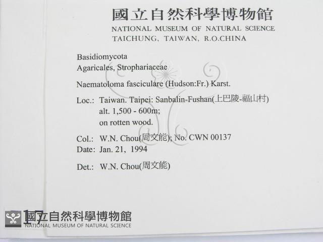 登錄號:F0001794藏品圖，第2張