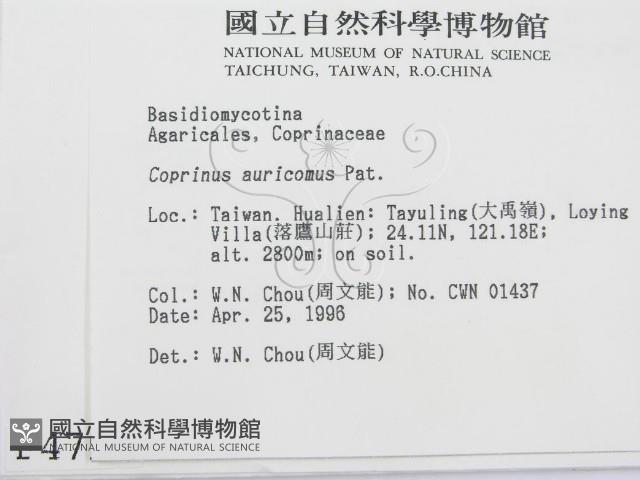 登錄號:F0004794藏品圖，第2張