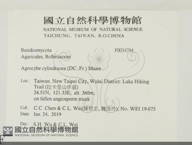 登錄號:F0034794藏品圖，第2張