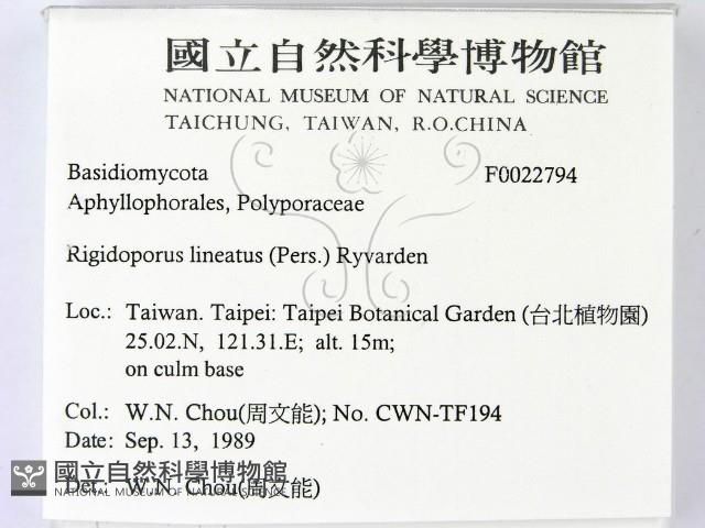 登錄號:F0022794藏品圖，第2張