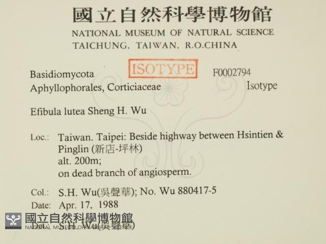 登錄號:F0002794藏品圖，第2張