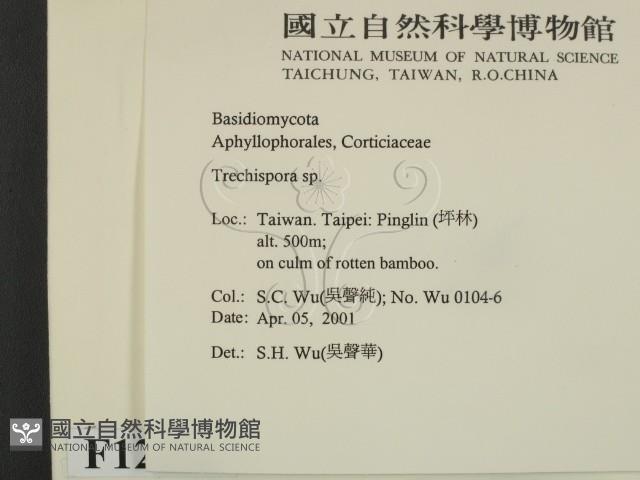登錄號:F0012794藏品圖，第2張