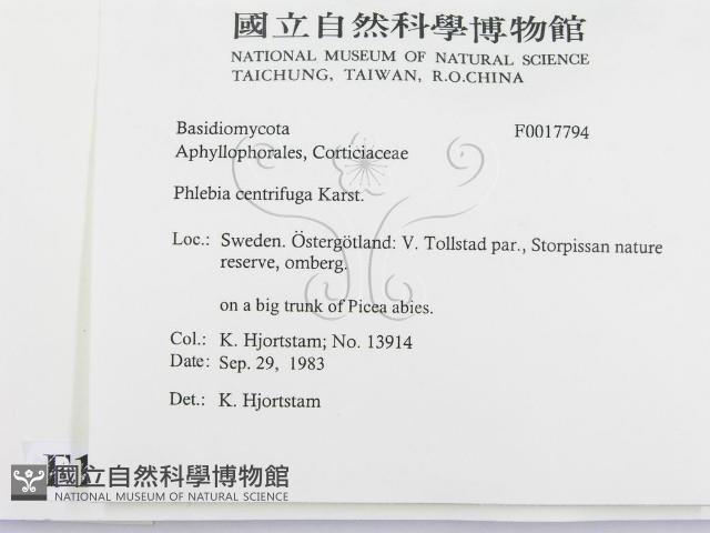 登錄號:F0017794藏品圖，第2張
