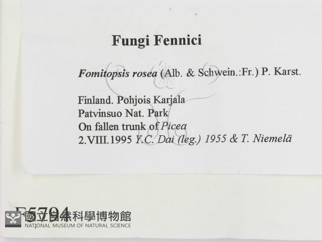 登錄號:F0005794藏品圖，第2張