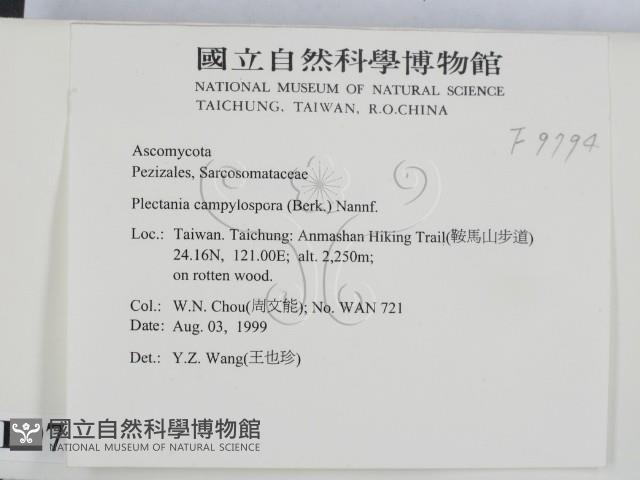 登錄號:F0009794藏品圖，第2張