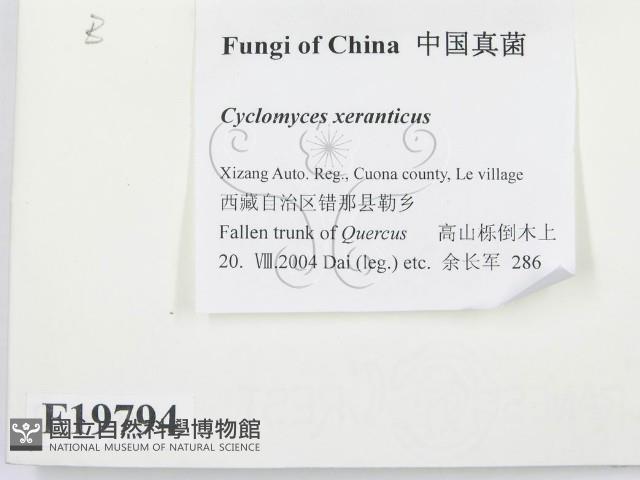 登錄號:F0019794藏品圖，第2張
