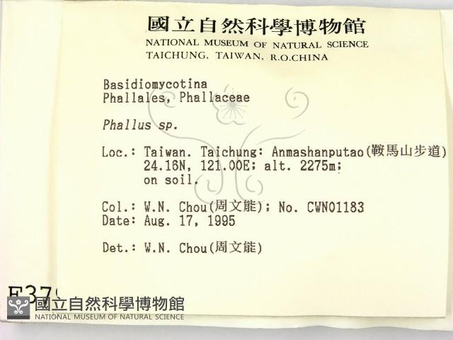 登錄號:F0003794藏品圖，第2張