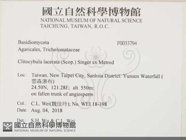 登錄號:F0033794藏品圖，第2張