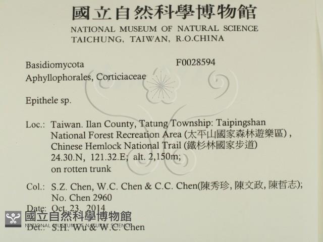 登錄號:F0028594藏品圖，第2張