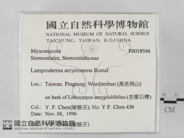 登錄號:F0018594藏品圖，第2張