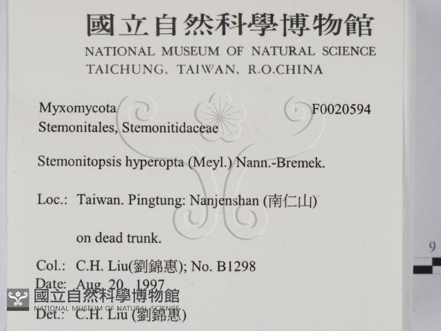 登錄號:F0020594藏品圖，第2張