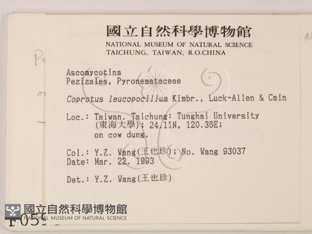 登錄號:F0000594藏品圖，第2張