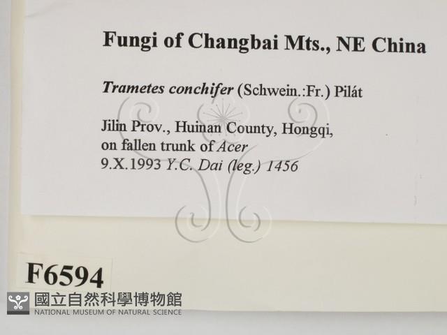 Accession Number:F0006594 Collection Image, Figure 2, Total 3 Figures