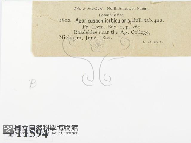 登錄號:F0011594藏品圖，第2張