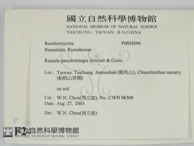 登錄號:F0024594藏品圖，第2張