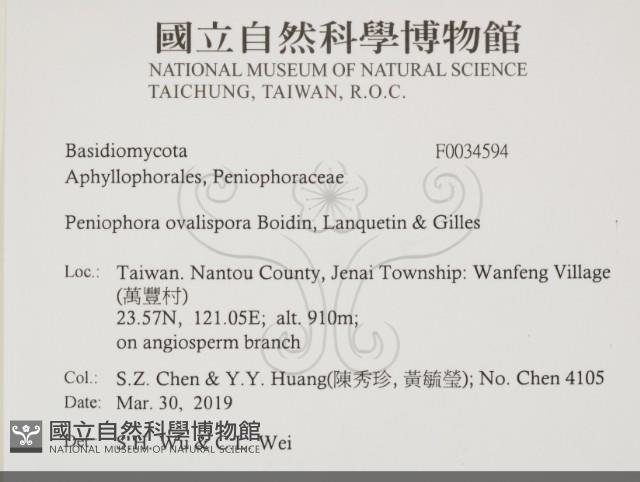 登錄號:F0034594藏品圖，第2張