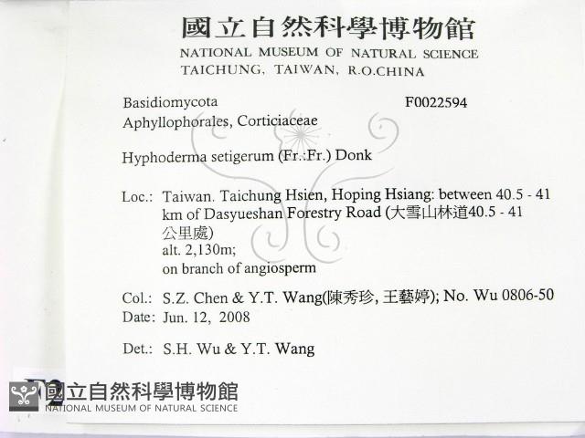 剛毛絲皮菌藏品圖，第2張