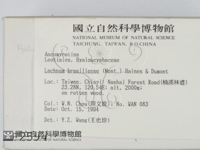 登錄號:F0002594藏品圖，第2張