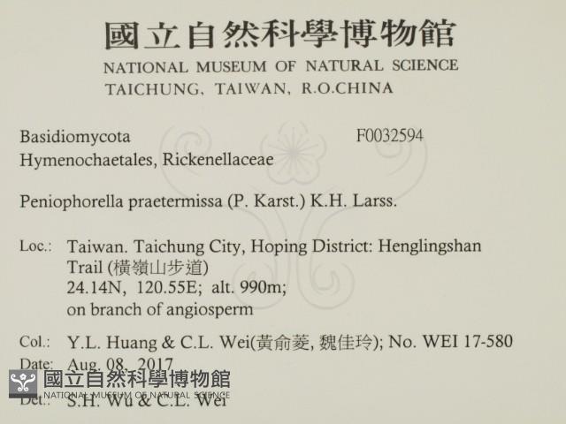 登錄號:F0032594藏品圖，第2張