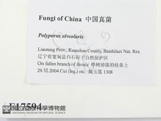 登錄號:F0017594藏品圖，第2張