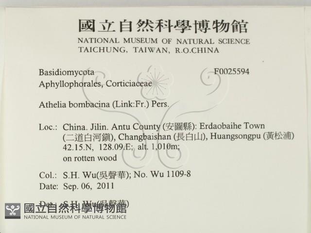 登錄號:F0025594藏品圖，第2張