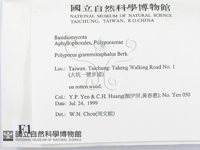 登錄號:F0015594藏品圖，第2張