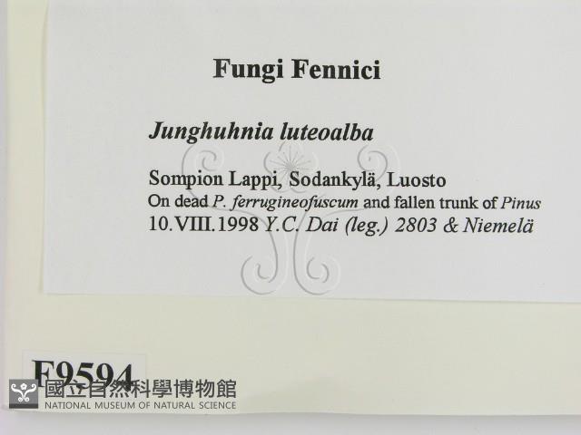 登錄號:F0009594藏品圖，第2張