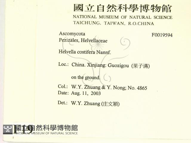 登錄號:F0019594藏品圖，第2張