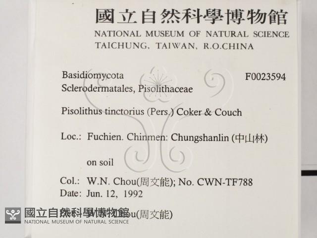 登錄號:F0023594藏品圖，第2張