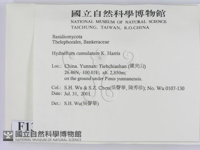 Accession Number:F0013594 Collection Image, Figure 2, Total 3 Figures