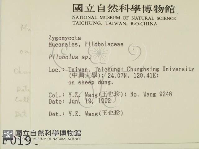 登錄號:F0000194藏品圖，第2張