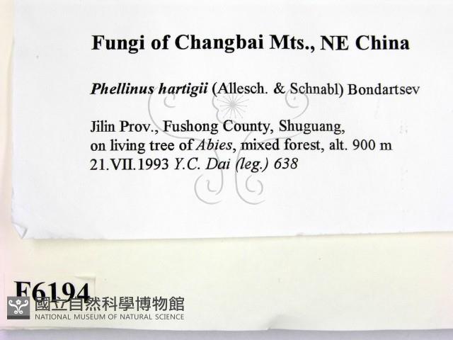 登錄號:F0006194藏品圖，第2張