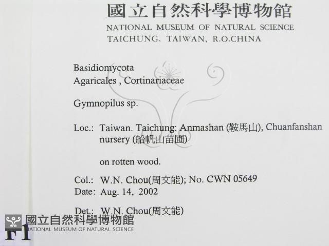 登錄號:F0016194藏品圖，第2張