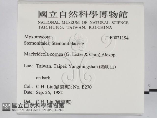 登錄號:F0021194藏品圖，第2張