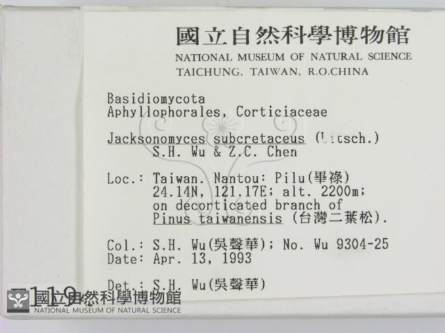 館號:F0001194藏品圖，第2張
