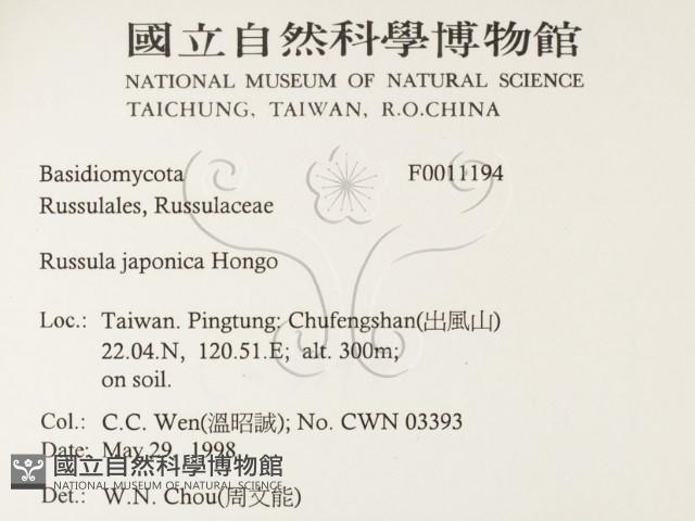 登錄號:F0011194藏品圖，第2張