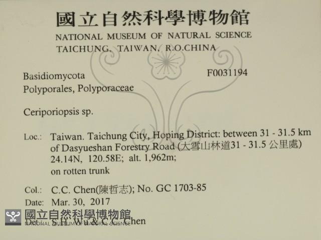 登錄號:F0031194藏品圖，第2張