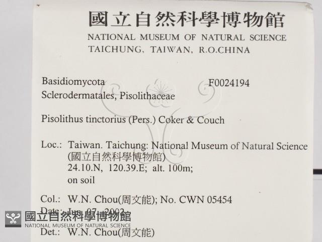 登錄號:F0024194藏品圖，第2張