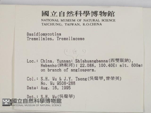 登錄號:F0004194藏品圖，第2張