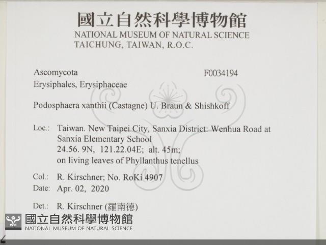 登錄號:F0034194藏品圖，第2張